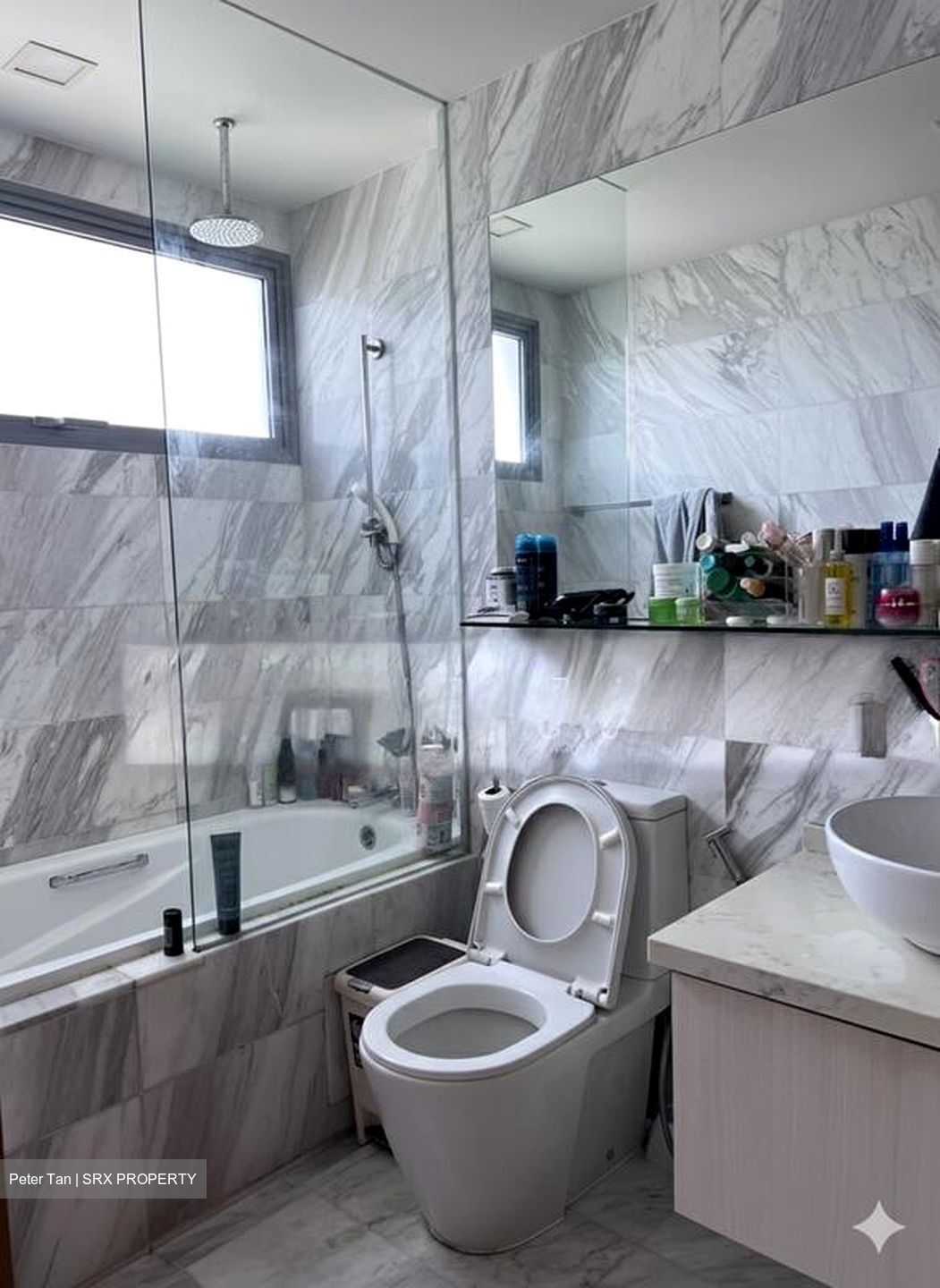 Vista Residences (D12), Condominium #502421331